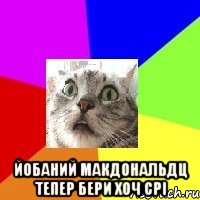  йобаний макдональдц тепер бери хоч срі
