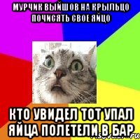 Мурчик выйшов на крыльцо почисять свое яйцо кто увидел тот упал яйца полетели в бар