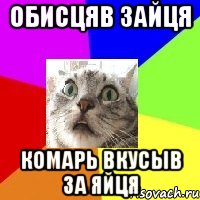 обисцяв зайця комарь вкусыв за яйця
