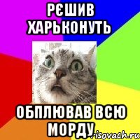 рєшив харьконуть обплював всю морду
