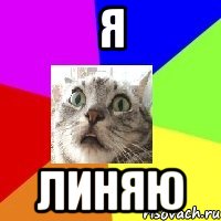 Я линяю