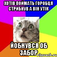 хотів поймать горобця стрибнув а він утік йобнувся об забор