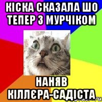 кіска сказала шо тепер з мурчіком наняв кіллєра-садіста