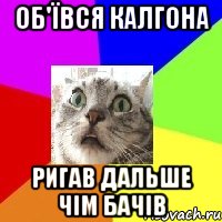 об'ївся калгона ригав дальше чім бачів