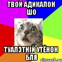 твой адикалон шо туалэтній утёнок бля