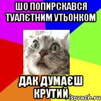 шо попирскався туалєтним утьонком дак думаєш крутий