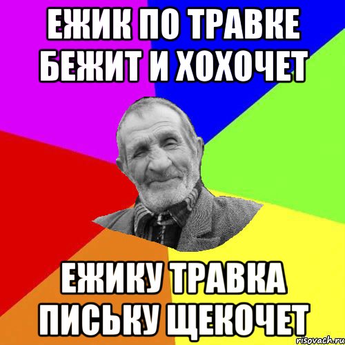 Ежик по травке бежит и хохочет ежику травка письку щекочет, Мем Чоткий дед