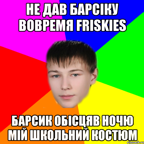 Не дав Барсіку вовремя Friskies Барсик обісцяв ночю мій школьний костюм