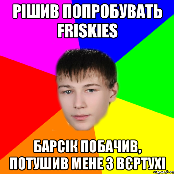 рішив попробувать friskies барсік побачив, потушив мене з вєртухі