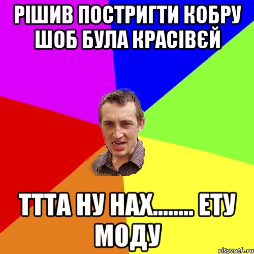 Рішив постригти кобру шоб була красівєй ттта ну нах........ ету моду, Мем Чоткий паца