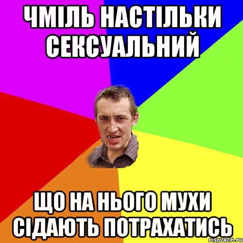 ЧМІЛЬ НАСТІЛЬКИ СЕКСУАЛЬНИЙ ЩО НА НЬОГО МУХИ СІДАЮТЬ ПОТРАХАТИСЬ, Мем Чоткий паца