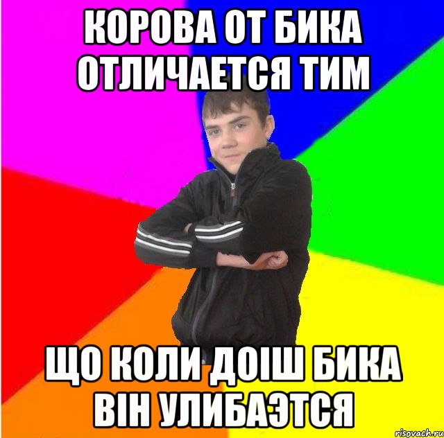 Корова от бика отличается тим що коли доiш бика вiн улибаэтся