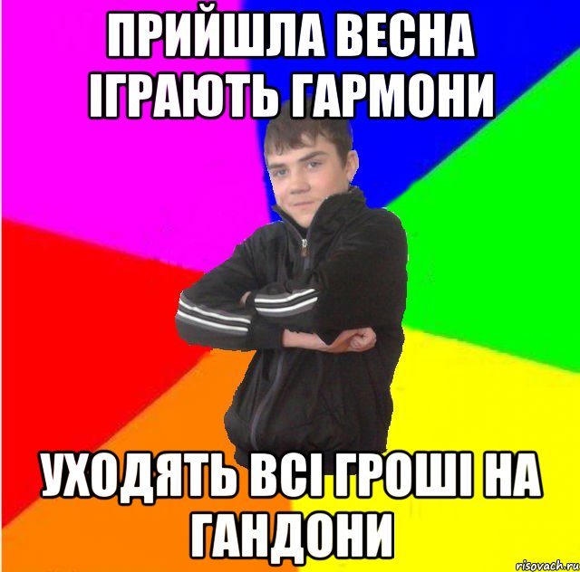 Прийшла весна iграють гармони уходять всi грошi на гандони
