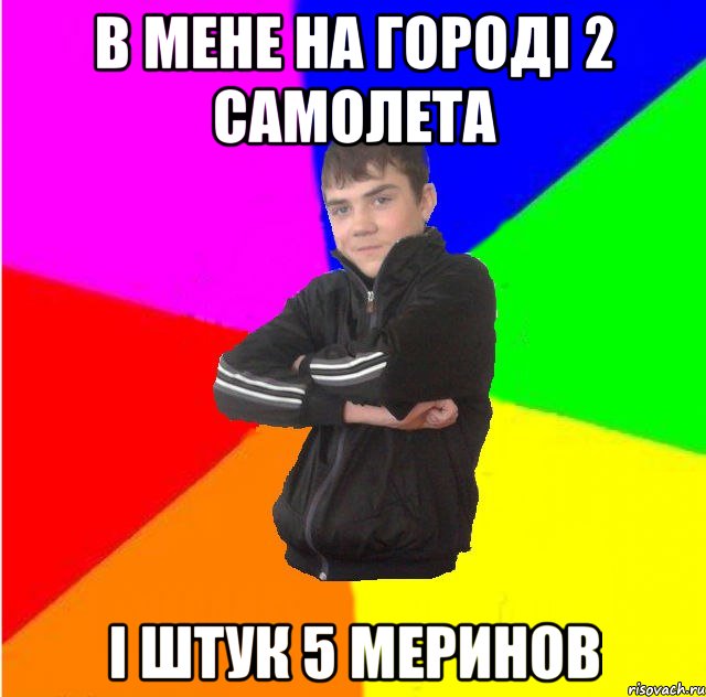 в мене на городi 2 самолета i штук 5 меринов