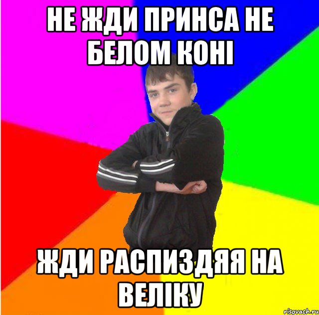 не жди принса не белом конi жди распиздяя на велiку