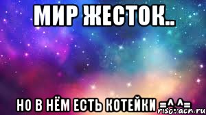 Мир жесток.. Но в нём есть котейки =^.^=, Мем Что бы Вы хотели сделать со мной