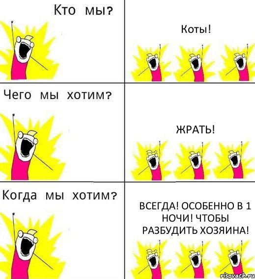 Коты! Жрать! Всегда! Особенно в 1 ночи! Чтобы разбудить хозяина!, Комикс Что мы хотим