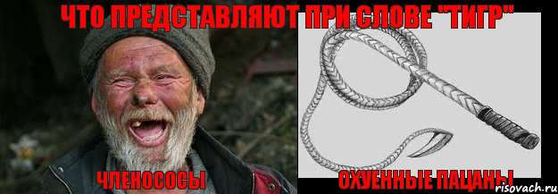 членососы охуенные пацаны Что представляют при слове "Тигр"
