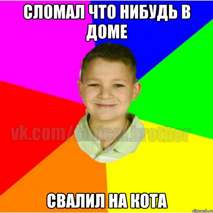 Сломал что нибудь в доме Свалил на кота