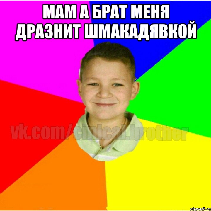 Мам а брат меня дразнит шмакадявкой 