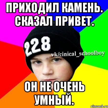 Приходил камень. Сказал привет. Он не очень умный., Мем  Циничный школьник 1