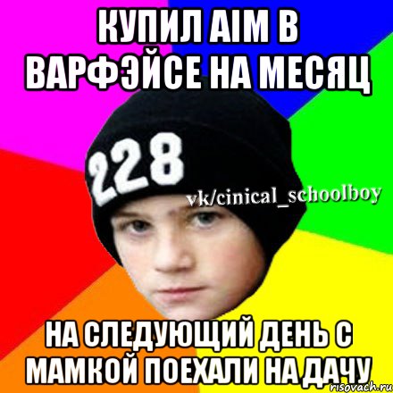 Купил Aim в варфэйсе на месяц на следующий день с мамкой поехали на дачу, Мем  Циничный школьник 1