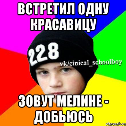 Встретил одну красавицу зовут мелине - добьюсь, Мем  Циничный школьник 1