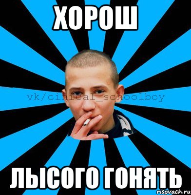 Хорош лысого гонять
