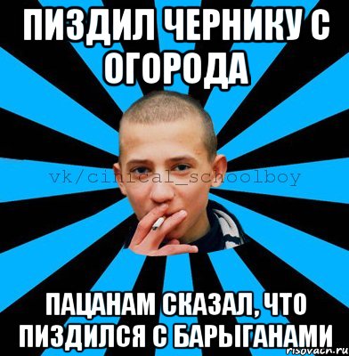 ПИЗДИЛ ЧЕРНИКУ С ОГОРОДА ПАЦАНАМ СКАЗАЛ, ЧТО ПИЗДИЛСЯ С БАРЫГАНАМИ