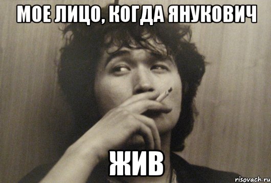 мое лицо, когда янукович жив
