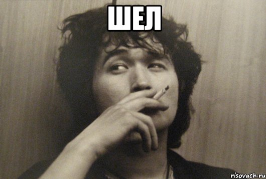 шел 