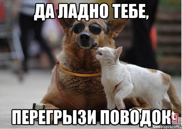 да ладно тебе, перегрызи поводок