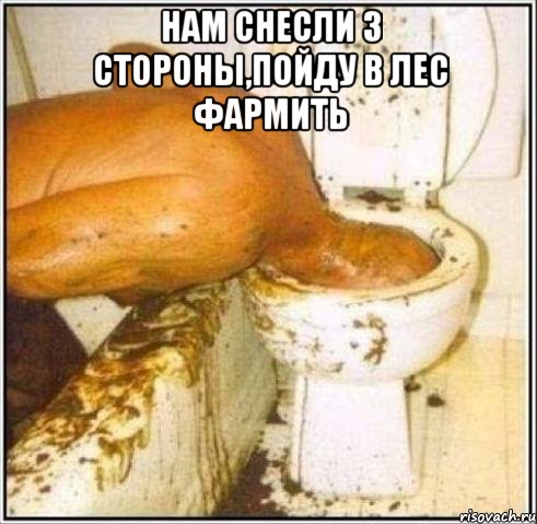Нам снесли 3 стороны,пойду в лес фармить , Мем Дайвер