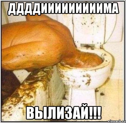 ДДДДИИИИИИИИИМА ВЫЛИЗАЙ!!!, Мем Дайвер