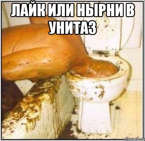 Лайк или нырни в унитаз , Мем Дайвер