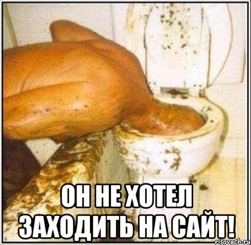  Он не хотел заходить на сайт!, Мем Дайвер