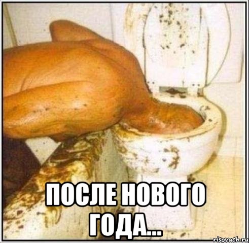  После Нового года..., Мем Дайвер