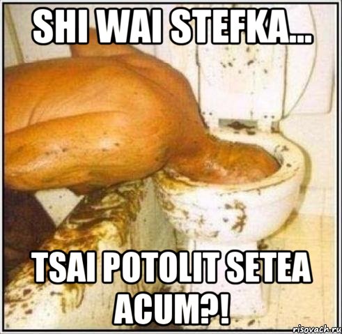 shi wai stefka... tsai potolit setea acum?!, Мем Дайвер