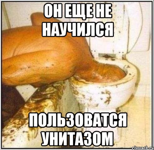 Он еще не научился пользоватся унитазом, Мем Дайвер