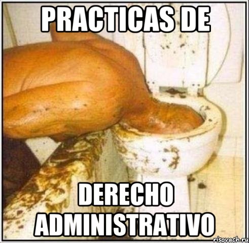 Practicas de Derecho Administrativo, Мем Дайвер