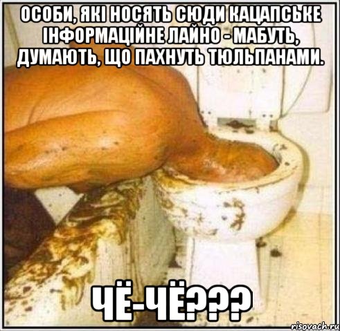 Особи, які носять сюди кацапське інформаційне лайно - мабуть, думають, що пахнуть тюльпанами. чё-чё???, Мем Дайвер