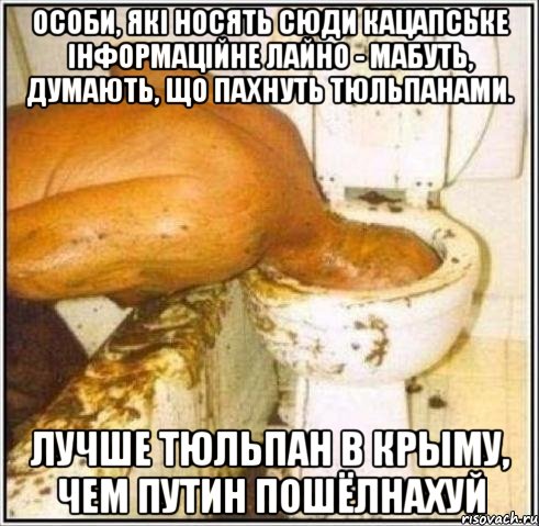 Особи, які носять сюди кацапське інформаційне лайно - мабуть, думають, що пахнуть тюльпанами. лучше тюльпан в крыму, чем путин пошёлнахуй, Мем Дайвер