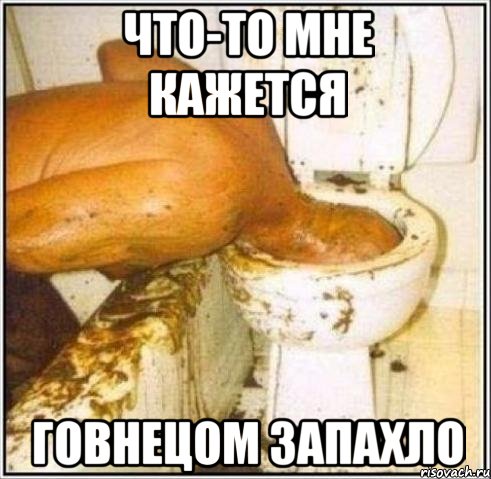 Все будут так же бораздить просторы унитаза ЕСЛИ ТРОНУТ МЕНЯ ИЛИ МОИХ БЛИЗКИХ!, Мем Дайвер