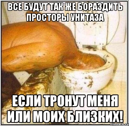 Все будут так же бораздить просторы унитаза ЕСЛИ ТРОНУТ МЕНЯ ИЛИ МОИХ БЛИЗКИХ!, Мем Дайвер