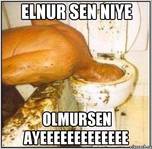 elnur sen niye olmursen ayeeeeeeeeeeeee, Мем Дайвер