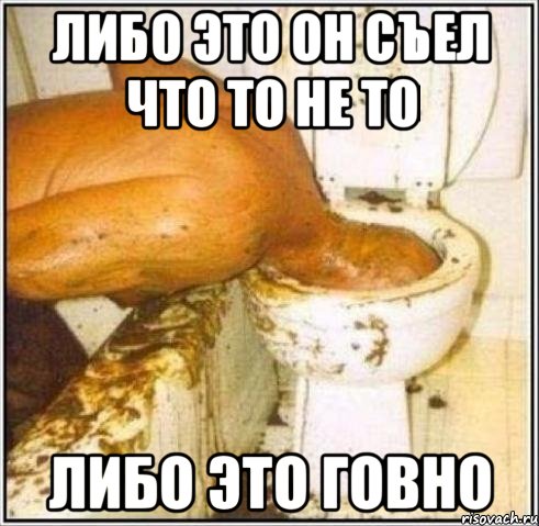 Либо это он съел что то не то либо это говно, Мем Дайвер
