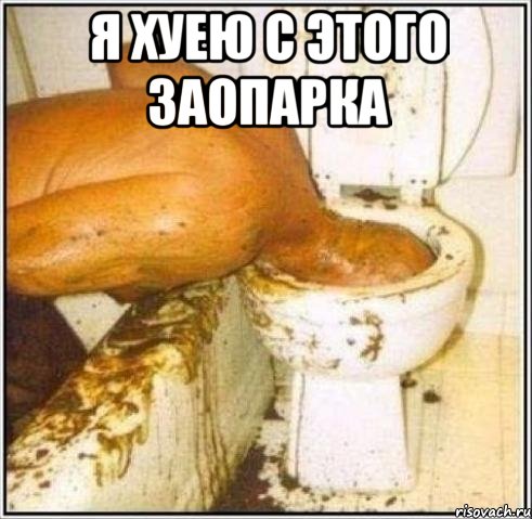 я хуею с этого заопарка , Мем Дайвер