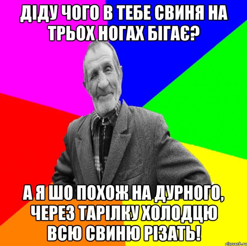 діду чого в тебе свиня на трьох ногах бігає? а я шо похож на дурного, через тарілку холодцю всю свиню різать!, Мем ДЕД