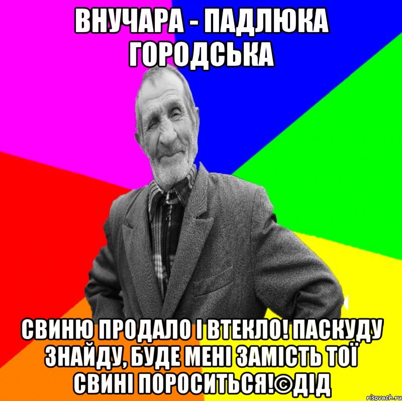 Внучара - падлюка городська Свиню продало і втекло! Паскуду знайду, буде мені замість тої свині пороситься!©ДІД, Мем ДЕД