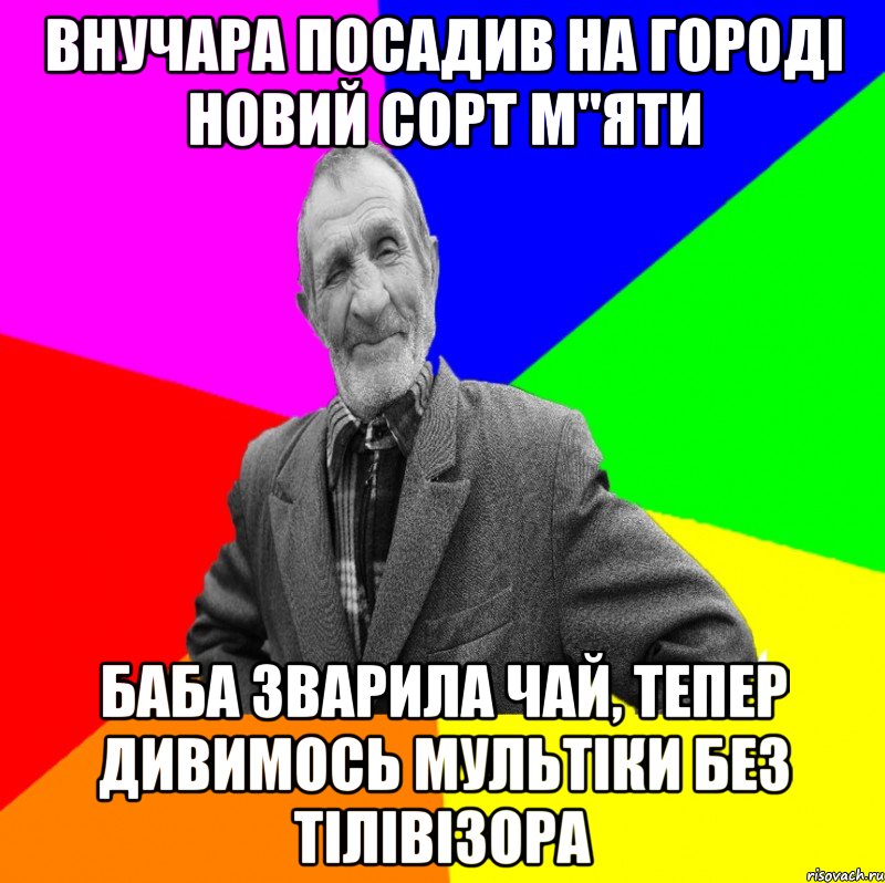 Внучара посадив на городі новий сорт м"яти баба зварила чай, тепер дивимось мультіки без тілівізора